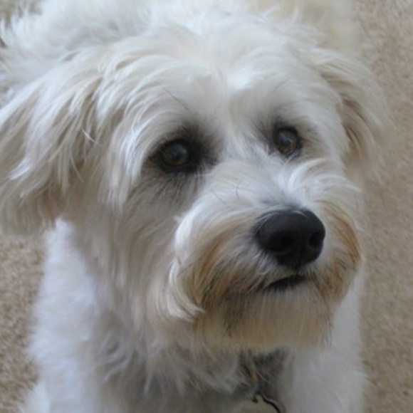 Meet your Posher, Kathy - Picture 6 of 11